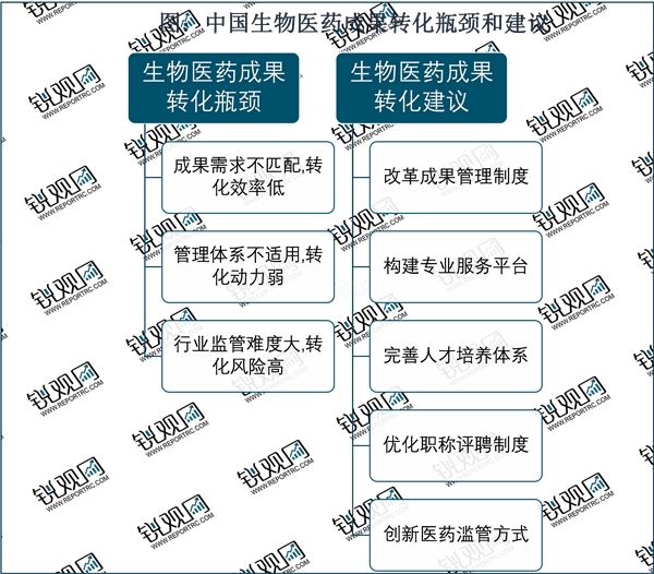 2023生物医药行业市场发展趋势分析：随着资本市场利好行业加速发展