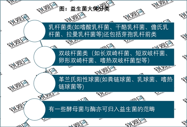 2023益生菌行业市场发展趋势分析：随着生活节奏加快生活水平提高行业前景可观