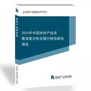2024年中国光伏产业发展深度分析及银行授信研究报告